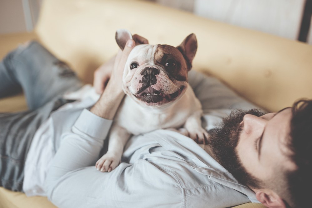 Pet